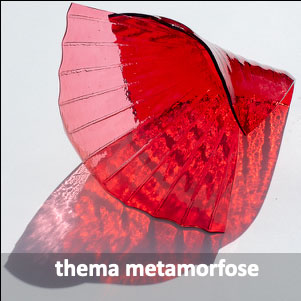 Ga naar het thema Metamorfose