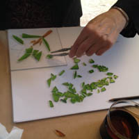 impressie workshop